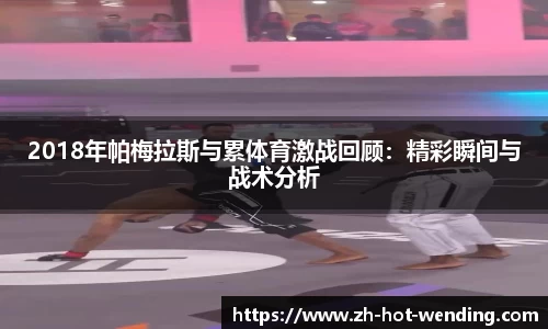 2018年帕梅拉斯与累体育激战回顾：精彩瞬间与战术分析